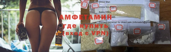 гидра Арсеньев