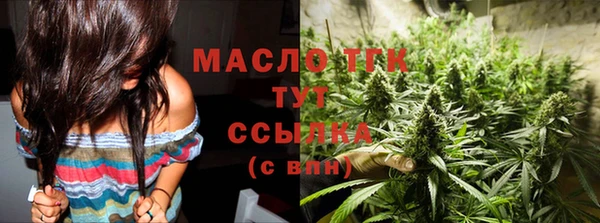 гидра Арсеньев