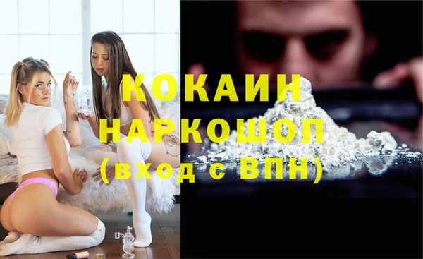 гидра Арсеньев